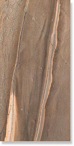 Керамогранит Claystone Desert Lapp 45x90 Fioranese Ceramica