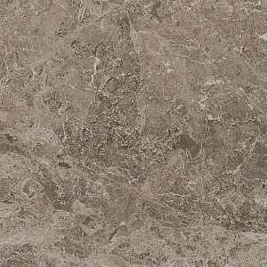 Керамогранит VICTORY Taupe Ret 60 60x60 от Atlas Concorde